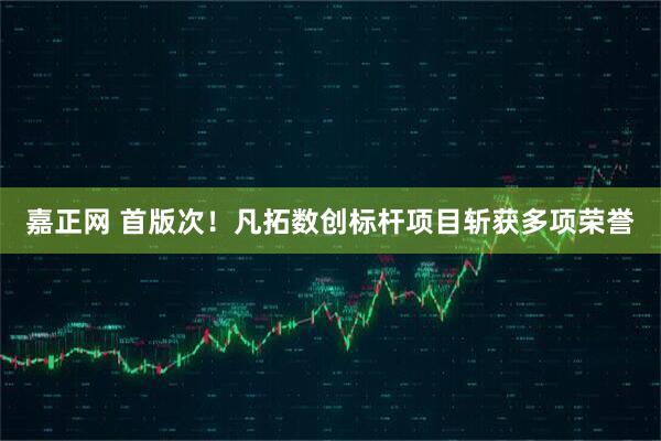 嘉正网 首版次！凡拓数创标杆项目斩获多项荣誉